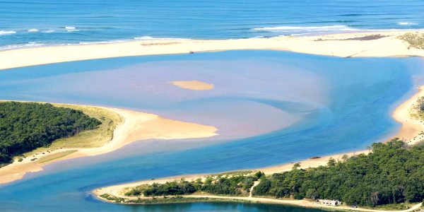 cash and repair environnement nettoyage plage