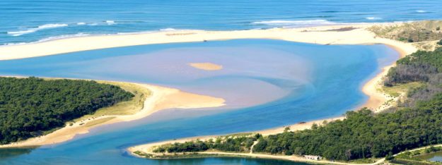 cash and repair environnement nettoyage plage