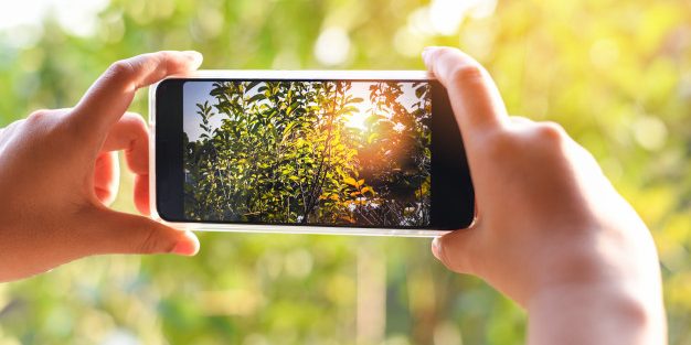 reprise coronavirus reparation mobile